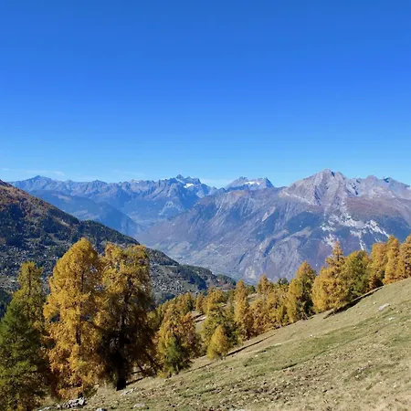 Welcoming With Balcony Apartamento Nendaz
